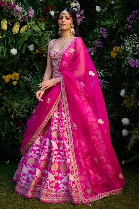 Traditional_South_Asian_saree_dress